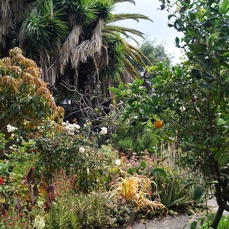 Willa La Casita Del Jardinero Los Llanos De Aridane Zewnętrze zdjęcie