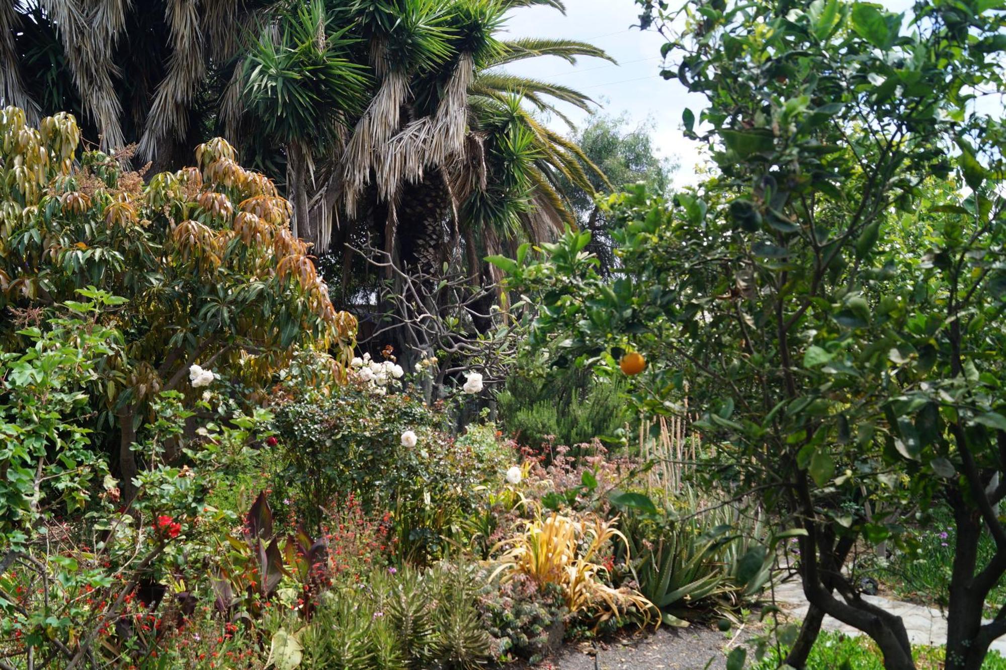 Willa La Casita Del Jardinero Los Llanos De Aridane Zewnętrze zdjęcie